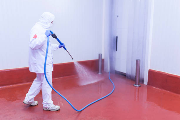 Professional Pressure Washing Services in Hobart, WI